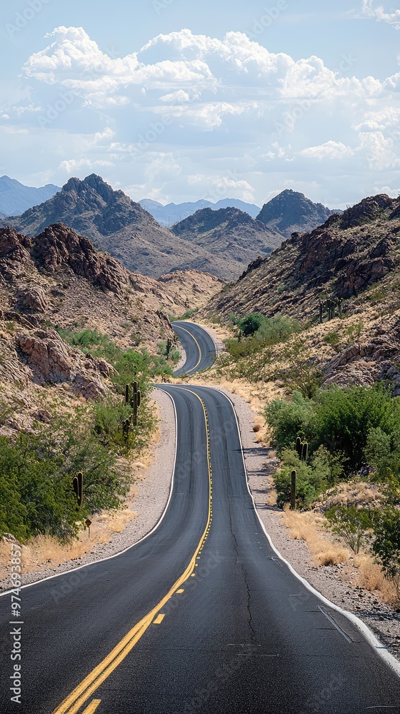 Fototapeta premium A Winding Road Through the Desert, Leading Towards a Distant Horizon
