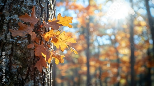 Bright Fall Sunny day at The Oak Mountain State Park : Generative AI photo