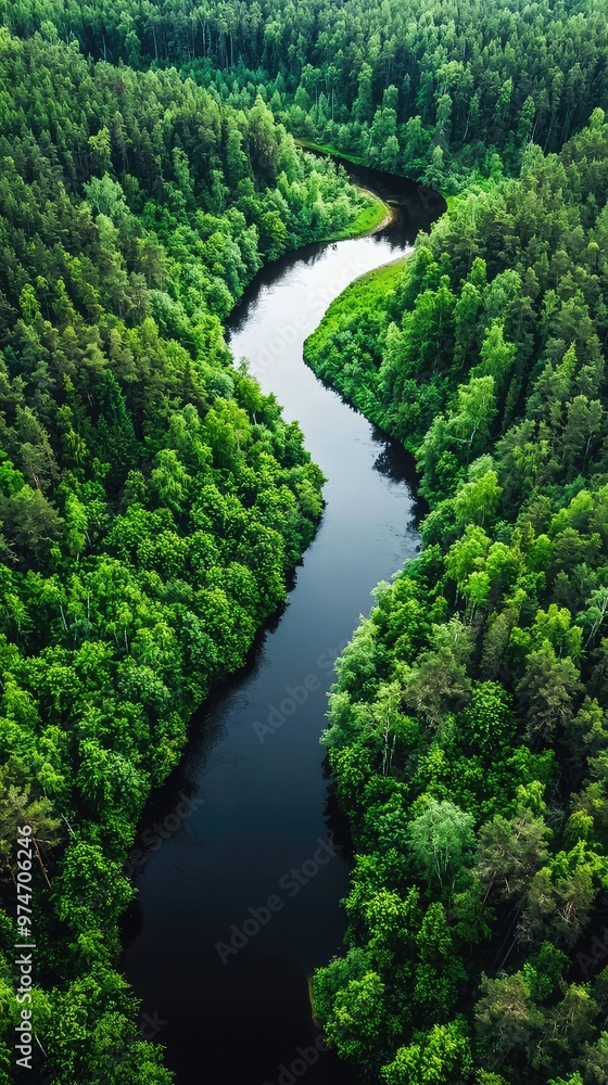 A Serpentine River Carves Through Lush, Verdant Forest Canopies, Seen From Above.