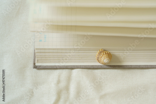 A seashell resting on the edge of a taupe notebook with open ivory pages has a column of dates written in English and blue mandarin letters