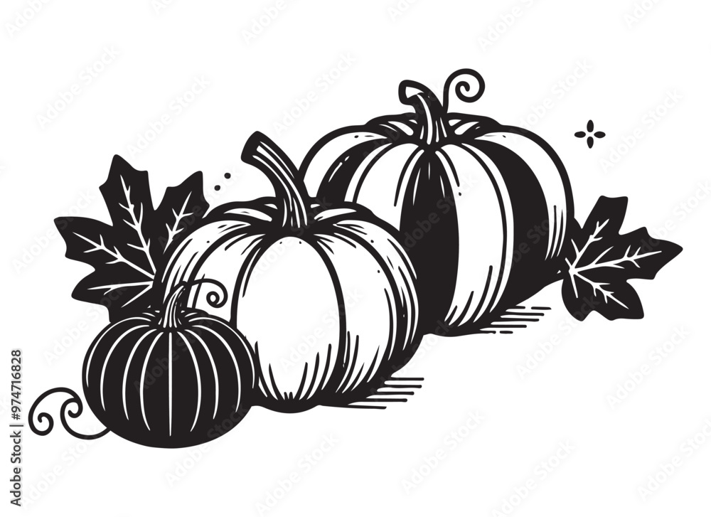 Ink sketch hand drawn pumpkin isolated on white background Ink sketch hand drawn pumpkin isolated on white background