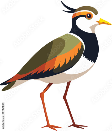 Lapwing vector Illustrations 