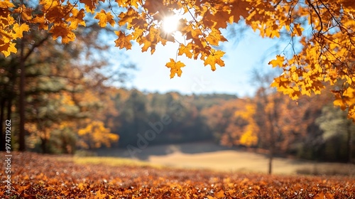 Bright Fall Sunny day at The Oak Mountain State Park : Generative AI photo