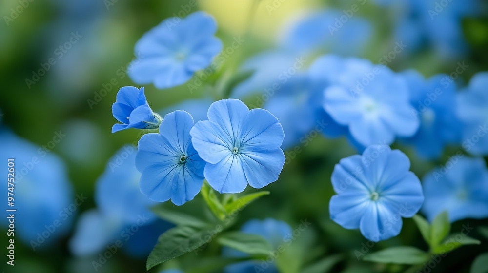Bouquet of blue flowers blooming in the garden : Generative AI Bouquet of blue flowers blooming in the garden : Generative AI