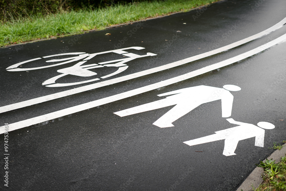 Road marking with separated pedestrian and bicycle lanes.