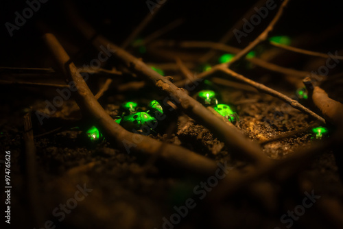 A shiny and neon green Heterorrhina sexmaculata beetle leaving in there habitat, futuristic and evolution, science fiction, metallic color. photo