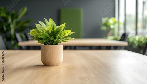 A stylish indoor plant in a minimalist pot, bringing a touch of greenery to a modern workspace with wooden table.