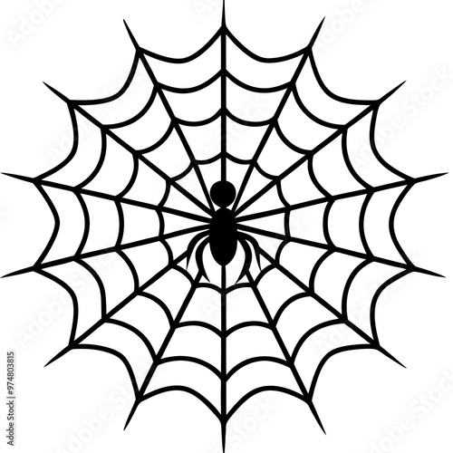 spider on web silhouette vector illustration
