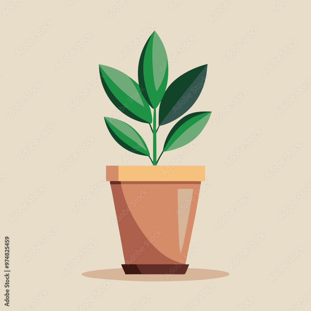 plant in pot plant in pot