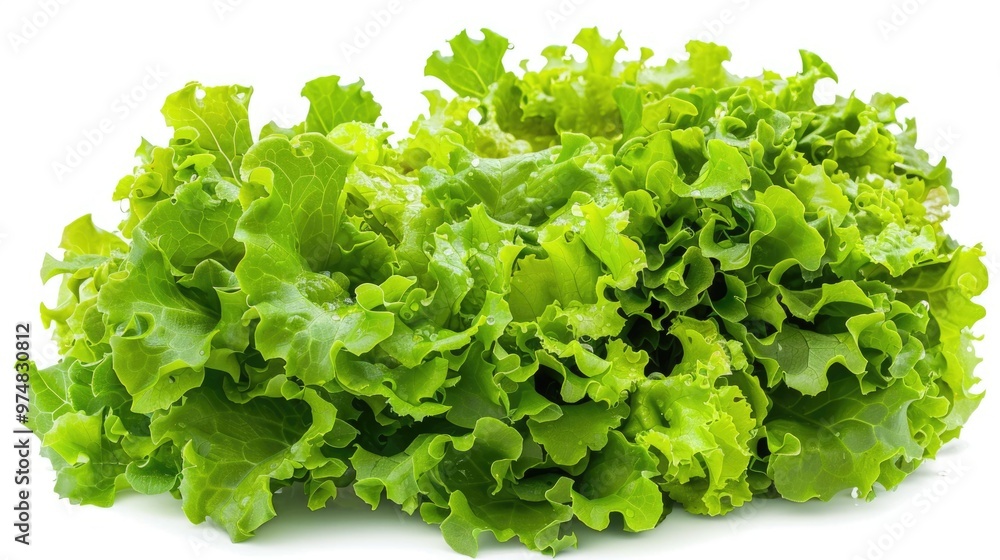Fresh green lettuce leaves sitting on a clean white surface Fresh green lettuce leaves sitting on a clean white surface