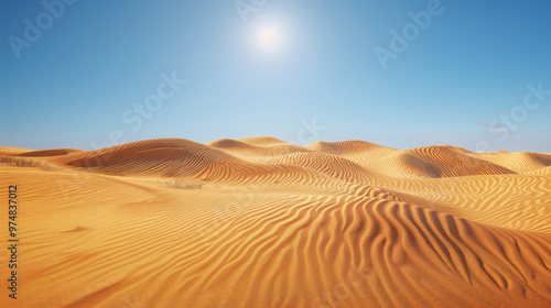 Arid desert at noon, with sharp shadows and minimal vegetation under a scorching sun.