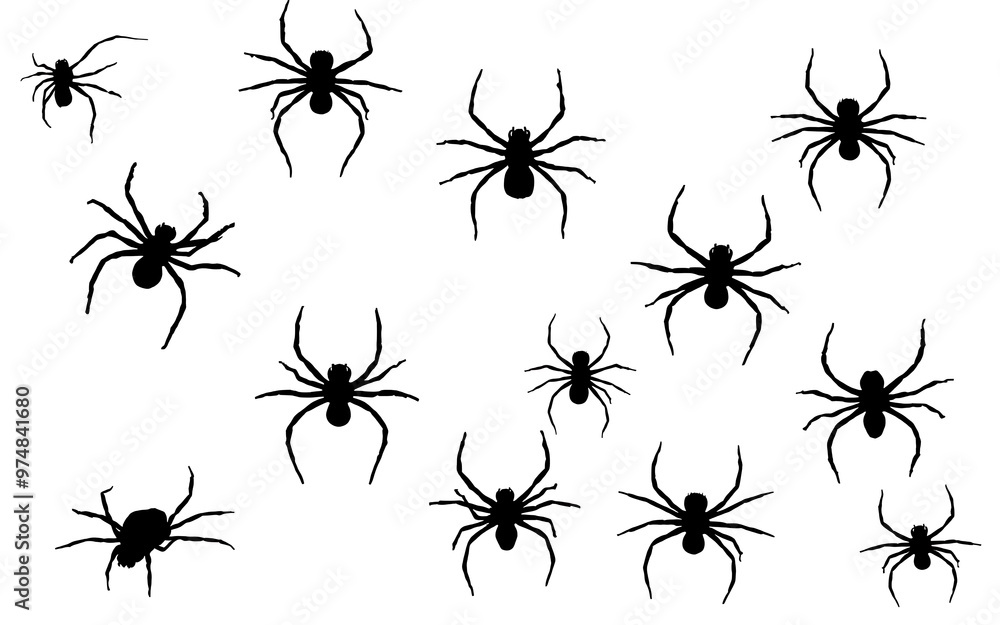 Black and white silhouettes of spiders, a spooky Halloween design for your projects.
Black and white silhouettes of spiders, a spooky Halloween design for your projects.