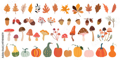 Autumn seasonal elements collection, different type of pumpkins, mushrooms, leaves and acorns, decorative design isolated on white background
