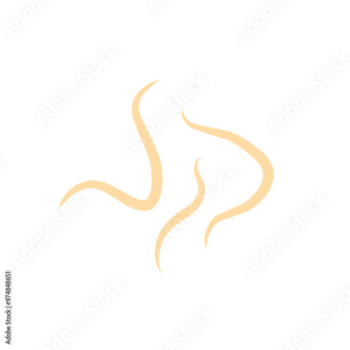 roundworm vector 
