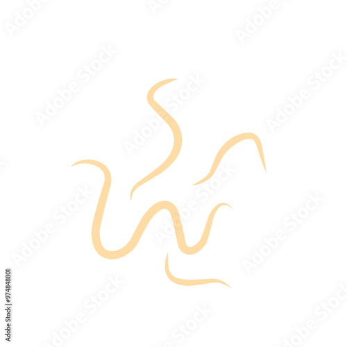 roundworm vector 