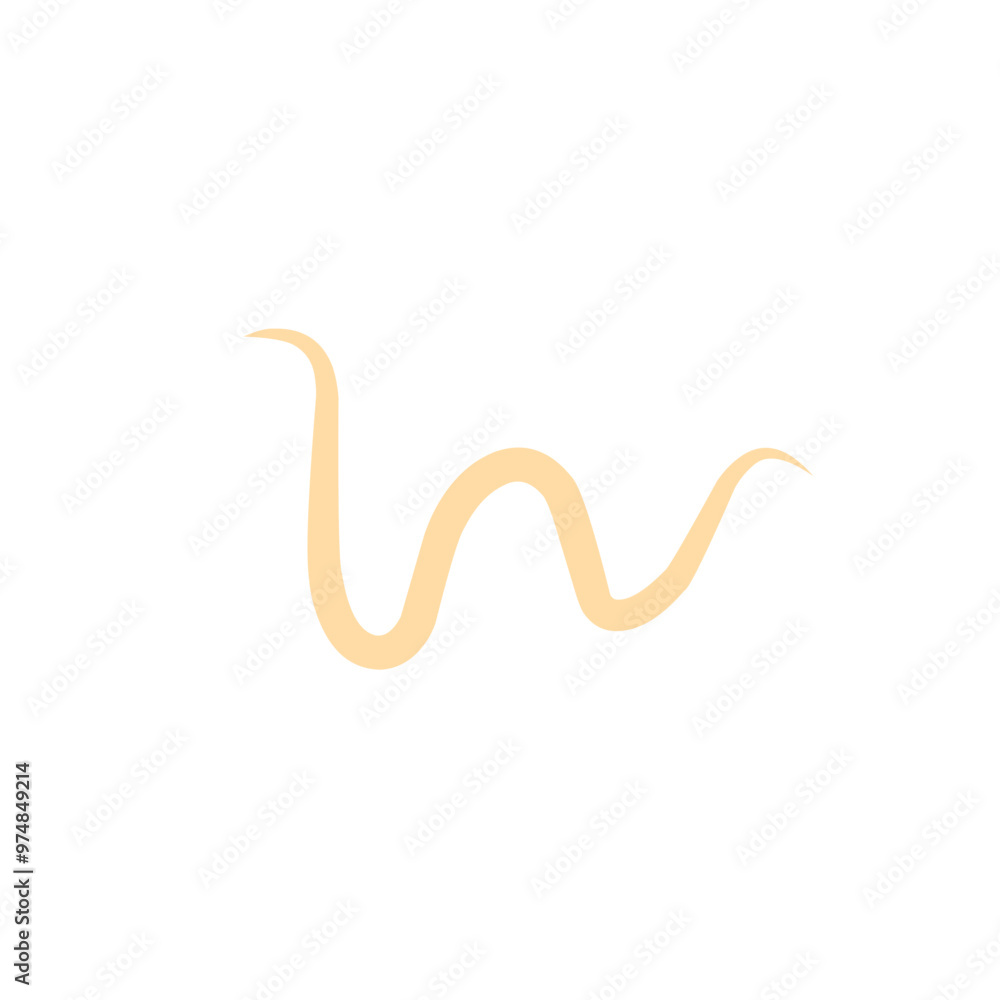 roundworm vector roundworm vector