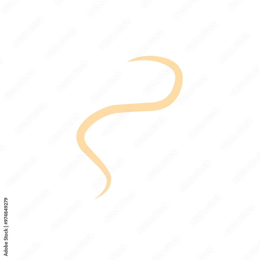 roundworm vector roundworm vector