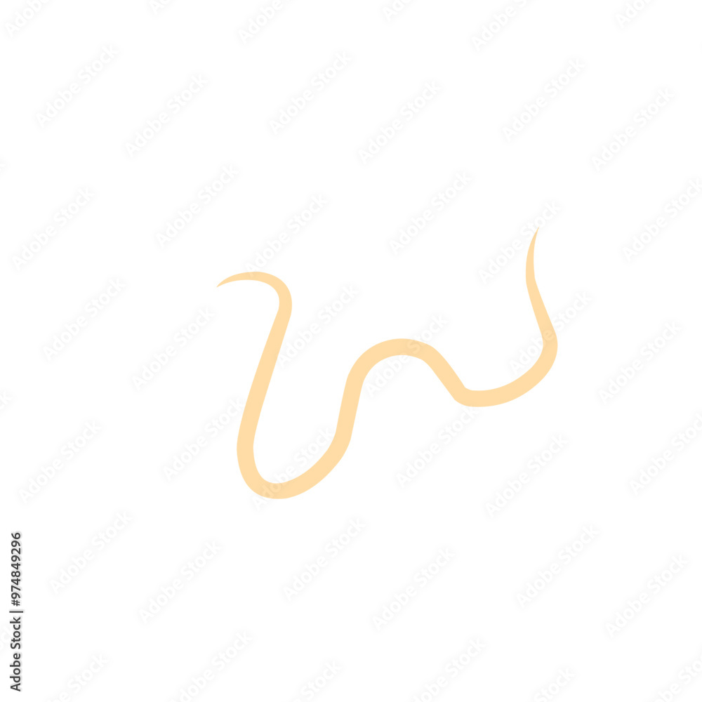 roundworm vector roundworm vector