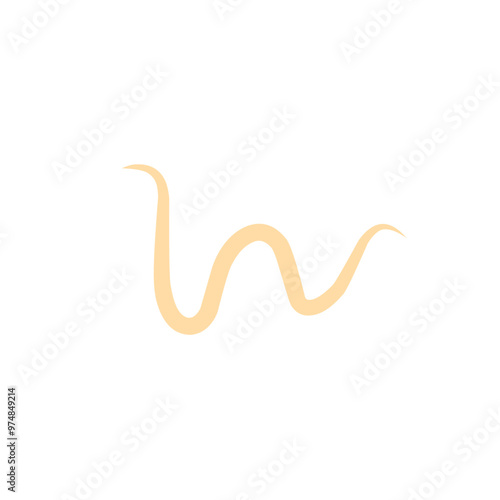 roundworm vector 