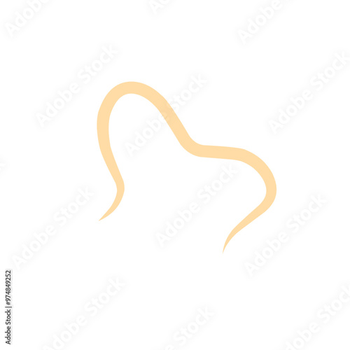 roundworm vector 