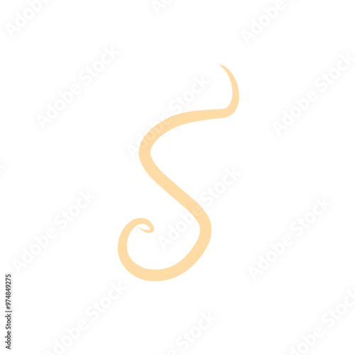 roundworm vector 