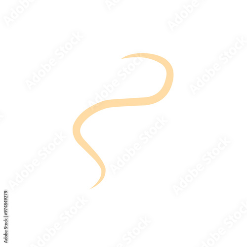 roundworm vector 