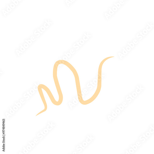 roundworm vector 