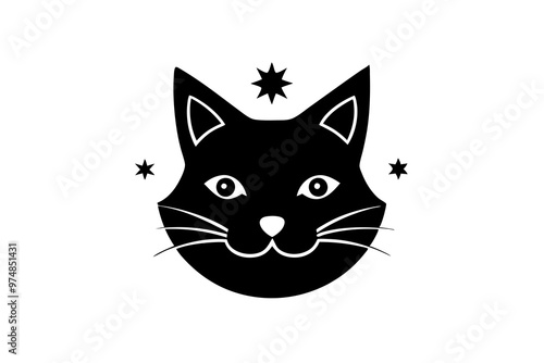 black and white cat