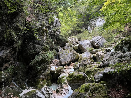 Možnica gorges / Nemčlja canyon (Triglav National Park, Slovenia) - Moznica Tröge / Nemclja Flussbett, Bovec (Triglav-Nationalpark, Slowenien) - Klanac Možnice ali Korita Nemčlje (Narodni park Triglav photo