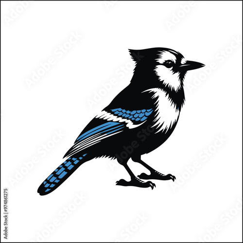 bird, crow, black, animal, wildlife, nature, raven, magpie, beak, white, wild, birds, feather, branch, isolated, avian, feathers
blue jay on a branch