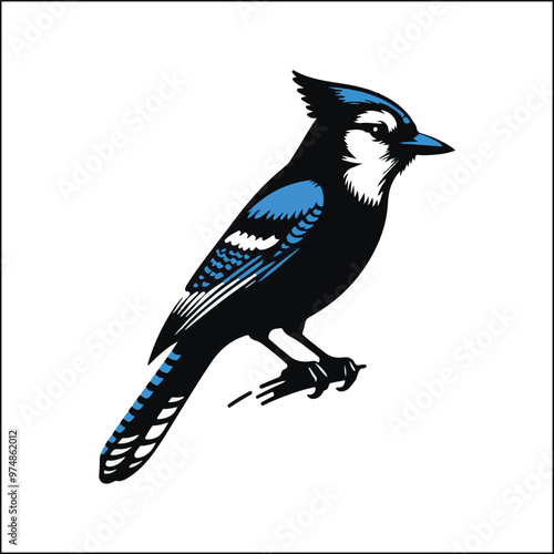 bird, crow, black, animal, wildlife, nature, raven, magpie, beak, white, wild, birds, feather, branch, isolated, avian, feathers
blue jay on a branch