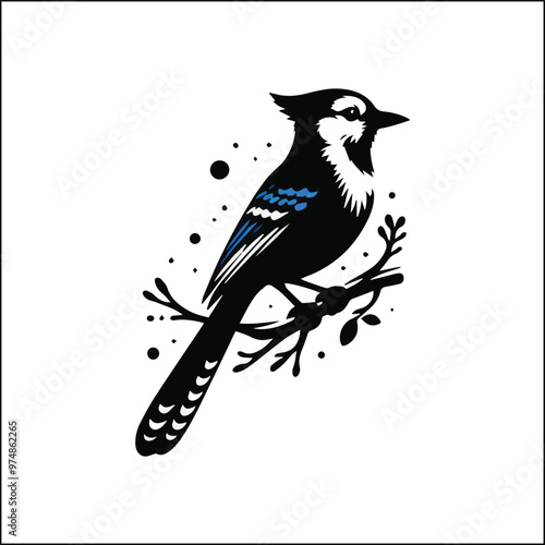 bird, crow, black, animal, wildlife, nature, raven, magpie, beak, white, wild, birds, feather, branch, isolated, avian, feathers
blue jay on a branch