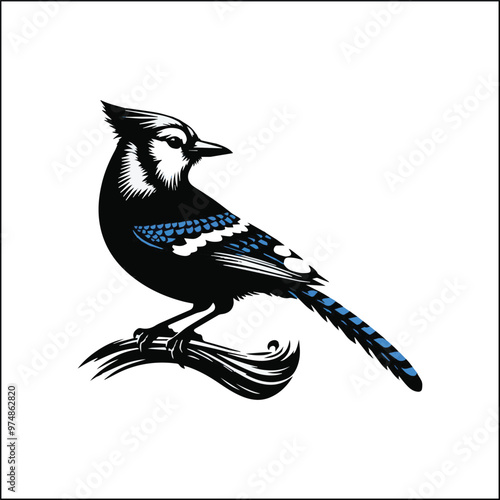 bird, crow, black, animal, wildlife, nature, raven, magpie, beak, white, wild, birds, feather, branch, isolated, avian, feathers
blue jay on a branch