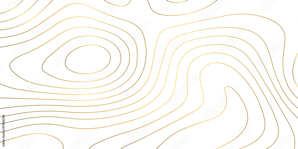 Abstract wave paper curved reliefs background .gradient multicolor wave curve lines banner background design .topographic contours map background .Vector geographic contour map. Abstract wave paper curved reliefs background .gradient multicolor wave curve lines banner background design .topographic contours map background .Vector geographic contour map.