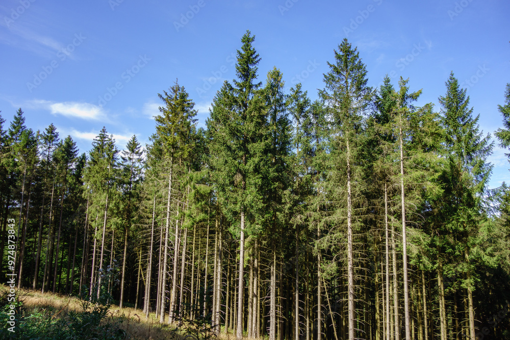 willingen im Sauerland willingen im Sauerland