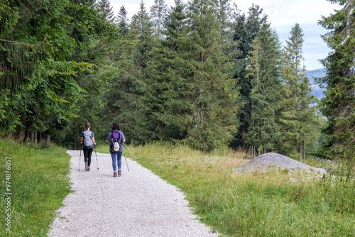  two-person hikes in the forest on a gravel road