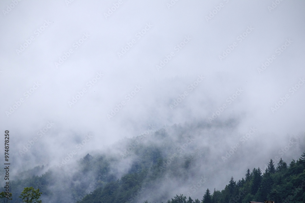 fog on the mountain before the rain
fog on the mountain before the rain