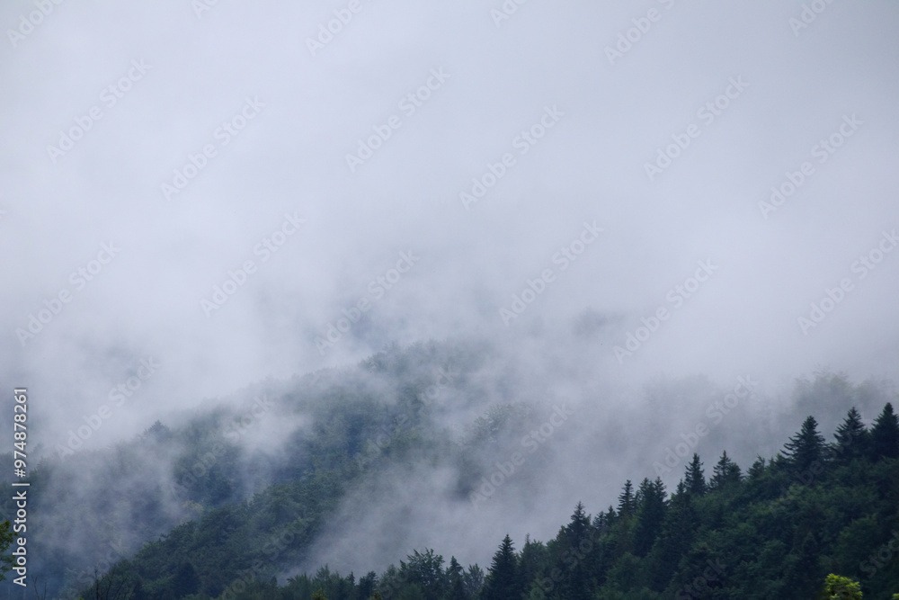 fog on the mountain before the rain
fog on the mountain before the rain