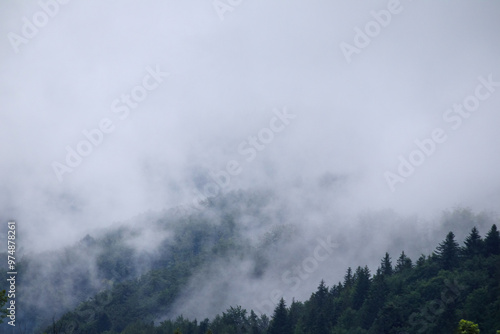  fog on the mountain before the rain