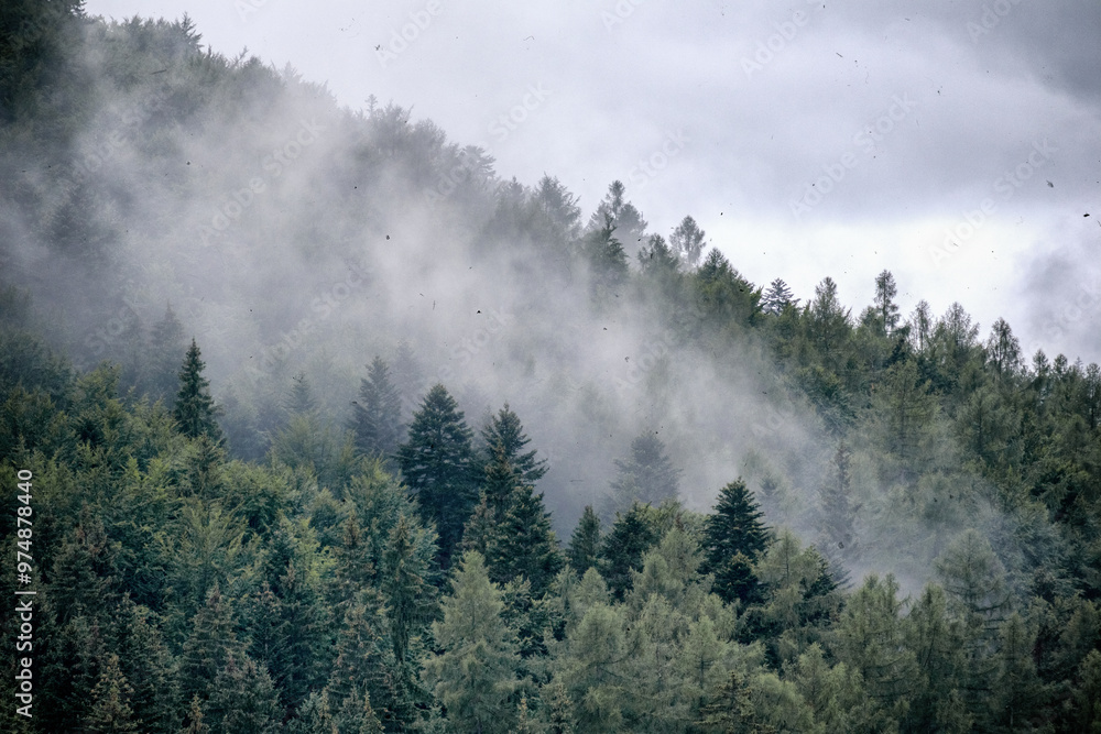 fog on the mountain before the rain
fog on the mountain before the rain