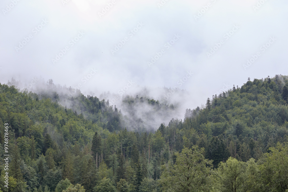 fog on the mountain before the rain
fog on the mountain before the rain