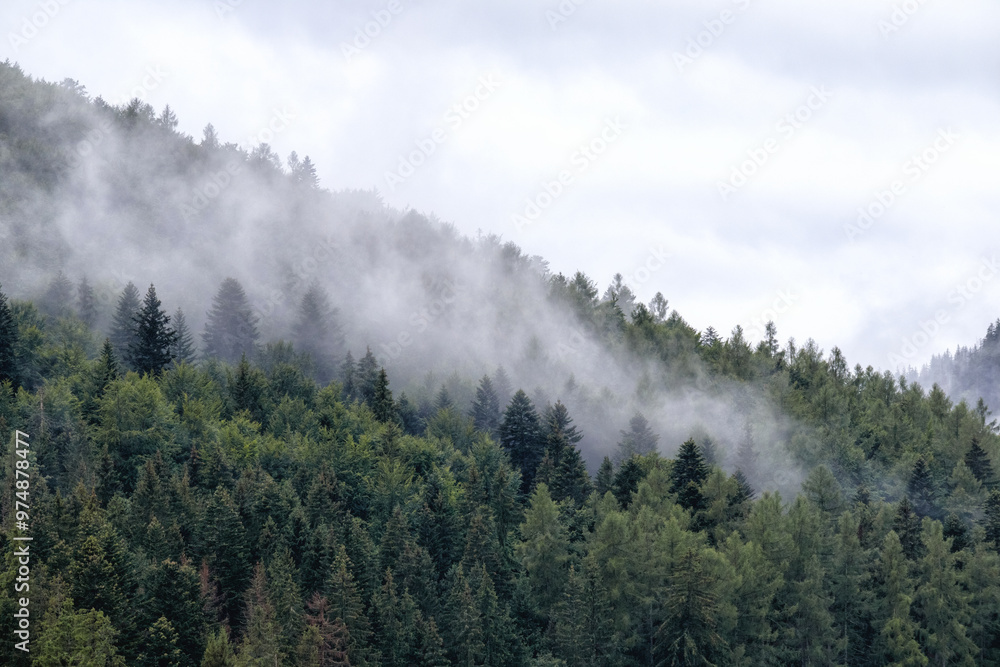 fog on the mountain before the rain
fog on the mountain before the rain