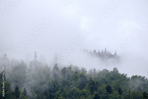  fog on the mountain before the rain