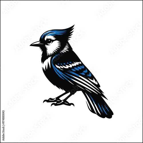 blue jay on a branch