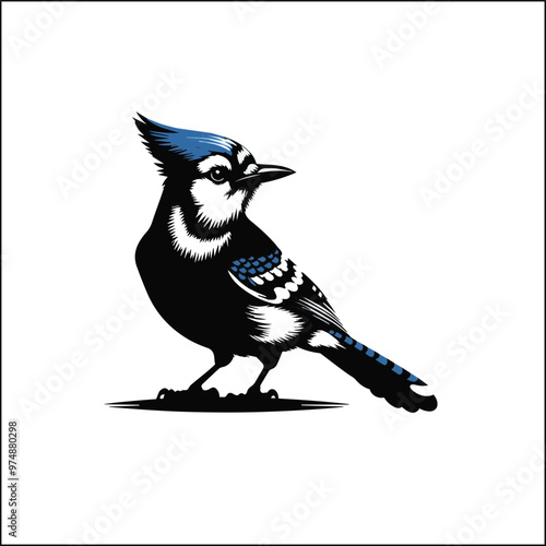 blue jay on a branch
