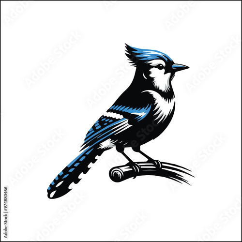 blue jay on a branch