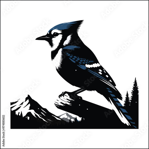 blue jay on a branch