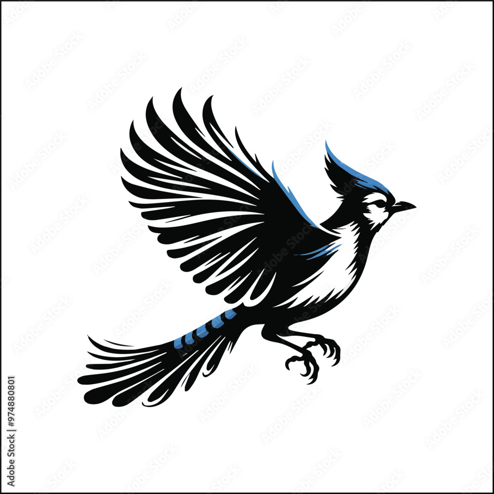 Fototapeta premium blue jay on a branch