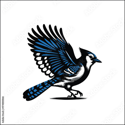 blue jay on a branch