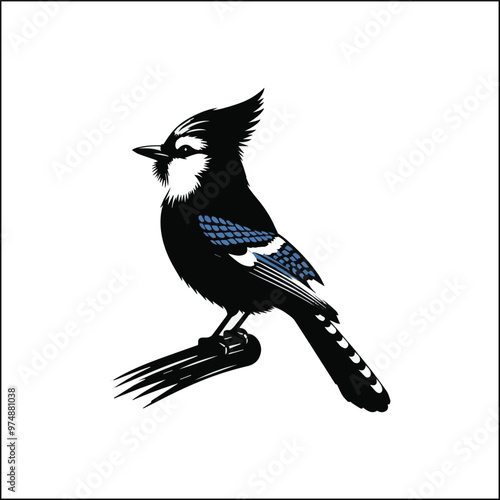 blue jay on a branch